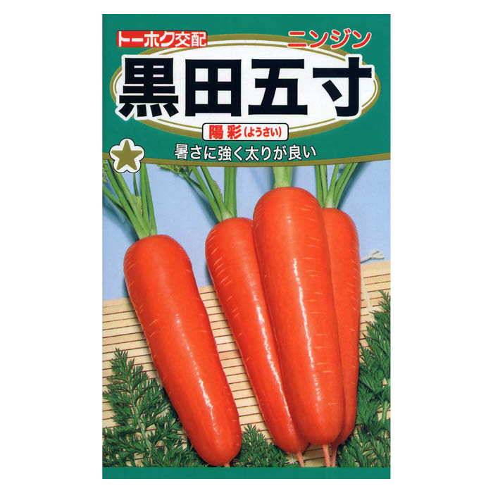 暑さに強く太りが良い[特長]:■暑さに強い夏まき用の新黒田五寸系。色も良く、約15cmで尻止まり良い円筒形※蒔き時期、収穫・開花時期等はパッケージ裏面の記載をご確認ください。※育成目安については、環境による変動があるため、これを保証するものではございません。※内容量、生産地、発芽率、有効期限などについては、種の生産時期によって変わる場合がございます。