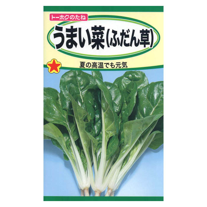 ���ޥ��� �դ�����