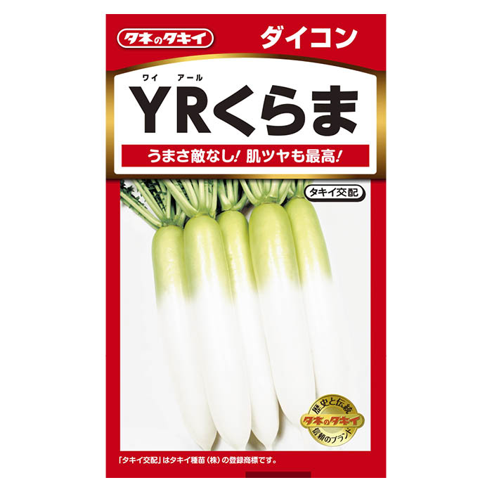 うまさ敵なし!肌ツヤも最高![特長]:■病気に強くて作りやすい、おいしい青首総太り。根径約8cm。根長約36cm。早太りでボリューム感にすぐれる。肌は滑らかで肉質は最高級。※蒔き時期、収穫・開花時期等はパッケージ裏面の記載をご確認ください。※育成目安については、環境による変動があるため、これを保証するものではございません。※内容量、生産地、発芽率、有効期限などについては、種の生産時期によって変わる場合がございます。