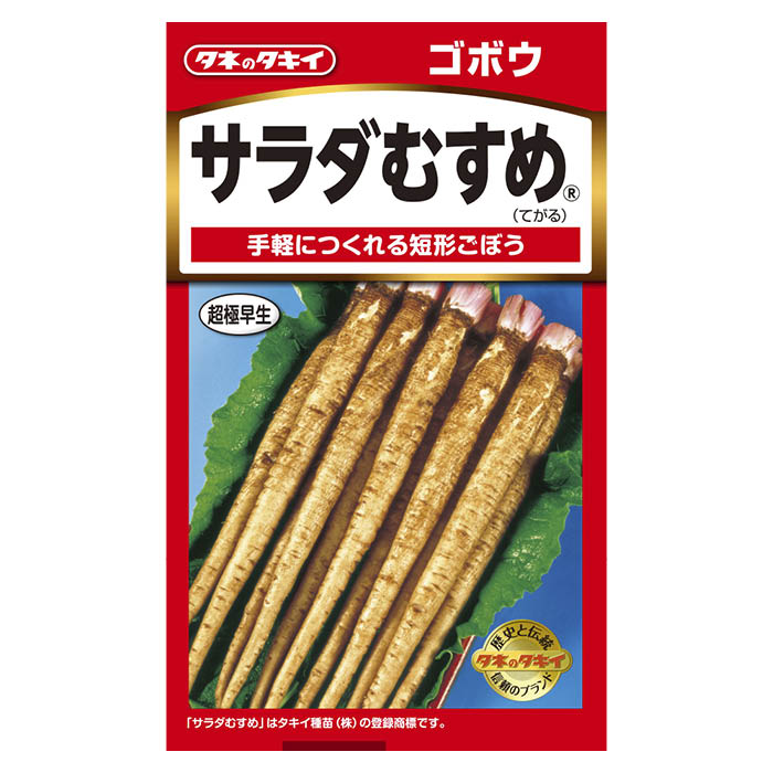 手軽につくれる短形ごぼう[特長]:■早太り性にすぐれ、手軽に作れる。根長35ー45cm程度の短根太ゴボウ。まとまりがよく収穫も簡単。香りがよく、サラダやキンピラにピッタリ。※蒔き時期、収穫・開花時期等はパッケージ裏面の記載をご確認ください。※育成目安については、環境による変動があるため、これを保証するものではございません。※内容量、生産地、発芽率、有効期限などについては、種の生産時期によって変わる場合がございます。