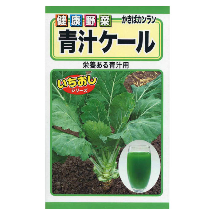 キャベツ 青汁ケール