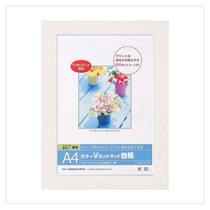 ナカバヤシ Vカットマット台紙 A4 DGVM-A4-W