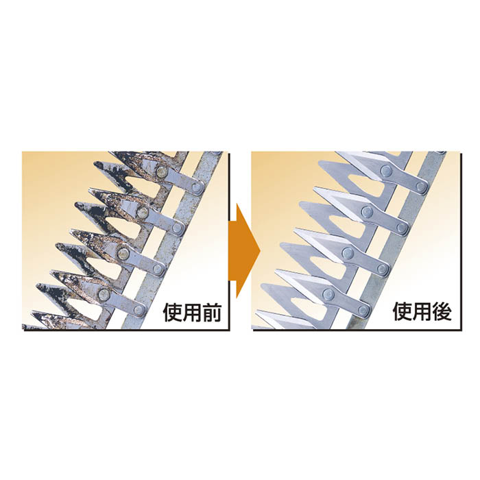 �ڳ�ŷ�����ѡ�SALE�ۥ��륹 �������ʪ���꡼�ʡ� GO-1��2026/3/4 20�� - 3/11 1��59ʬ��