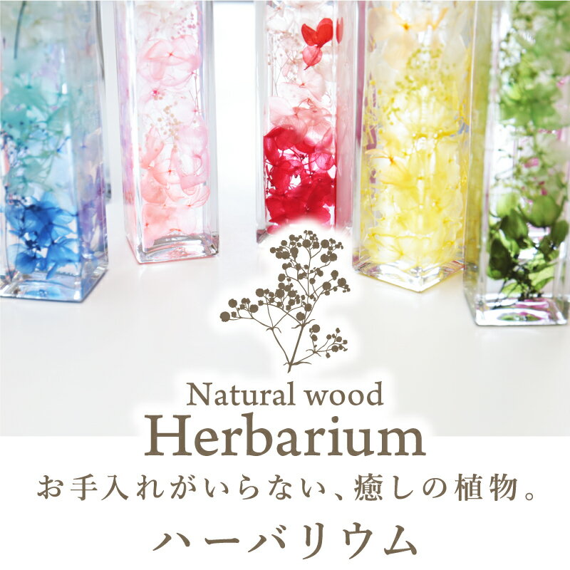 母の日 プレゼント ハーバリウム 名入れ 【 ナチュラルウッド ハーバリウム 】 誕生日 かわいい おしゃれ 人気 あじさい かすみそう 花 ドライフラワー メッセージ 名前入り 記念日 お祝い ギフト 退職祝い 送別会 母 義母 母親 彼女 女性 送料無料 翌々営業日出荷