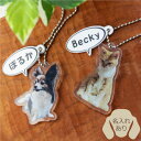 ペット オリジナル プリント ≪動物キーホルダー≫オーダーメイド 名入れ キーホルダー ねこ いぬ 家族 フォト プレゼント スマホ 動物 犬 猫 うさぎ 鳥 ...