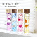 誕生日プレゼント ハーバリウム 名入れ 【 ハーバリウム ヘリクリサム 】 誕生日 プレゼント ギフト かわいい おしゃれ 人気 花 メッセージ 名前入り 記念...