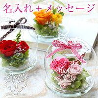 名入れ プリザーブドフラワー アップル 名前入り プレゼント ランキング 花 ギフト 林檎 リンゴ お花 花束 送料無料 誕生日 記念日 プロポーズ 発表会 ピアノ発表会 ギフト サプライズ かわいい お洒落 彼女 女性 翌々営業日出荷 母の日 Ocruyo オクルヨ
