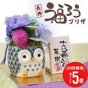 \ 7月10日限定!ポイント5倍 / 古希 お祝い 喜寿祝い 卒寿 傘寿 祝い ふくろう 花 プリザーブドフラワー 名入れ 【 長寿 ふくろう プリザ 】誕生日...