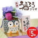 \ 7月30日限定!ポイント5倍 / 古希 お祝い 喜寿祝い 卒寿 傘寿 祝い 母 ふくろう 花 プリザーブドフラワー 名入れ 【 長寿 ふくろう プリザ 】誕...