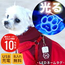 \ スーパーSALE 期間限定10%OFF / ペットタグ ペット 迷子札 名入れ 【 LED迷子札 】ledライト キーホルダー ネームタグ 犬 猫 いぬ ねこ 首輪 チャーム アクリル お散歩 ライト ペット用品 大型犬 中型犬 小型犬 夜道 迷子防止 ドッグタグ 愛犬 愛猫 翌々営業日出荷