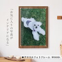 アクリル フォト プリント 【 アクリルフォトフレーム-WOOD- 】プレゼント 印刷 写真 壁掛け 縦 横 画像 ギフト ペット 子ども 家族 祖父母 木製 パネル オリジナル おしゃれ インテリア メモリアル 結婚祝い 新築祝い 誕生日 記念日 送料無料 写真ご確認後5営業日出荷