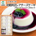 【夏ギフト】JAあがつま 北軽井沢レアチーズケーキブルーベリーソースセット