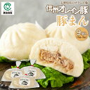 【夏ギフト】信州オレイン豚まん 9個入(1個160g 3個入×3袋)【レンジで簡単】