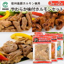 【夏ギフト】信州産やわらか味付ホルモンセット