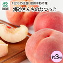 【夏ギフト】海谷さんちの長野県中野市産 なつっこ 大玉3kg