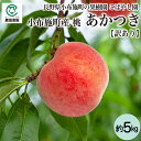【夏ギフト】こばやし園 長野県産 桃 あかつき【訳あり】約5kg_冷蔵便