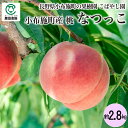 小布施町の果樹園こばやし園 長野県小布施町産 桃 なつっこ 約2.8kg_冷蔵便