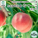 小布施町の果樹園こばやし園 長野県小布施町産 桃 なつっこ 約5kg【訳あり】_冷蔵便