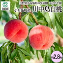 小布施町の果樹園こばやし園 長野県小布施町産 川中島白桃 約2.8kg_冷蔵便