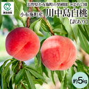 小布施町の果樹園こばやし園 長野県小布施町産 川中島白桃 訳あり 約5kg_冷蔵便