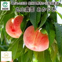 長野県中野市産 丸山農園のあかつき_大玉 3kg・5kg_冷蔵便