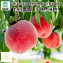 長野県中野市産 丸山農園の川中島白桃 3kg_冷蔵便