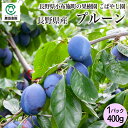 小布施町の果樹園 こばやし園 長野県産 プルーン