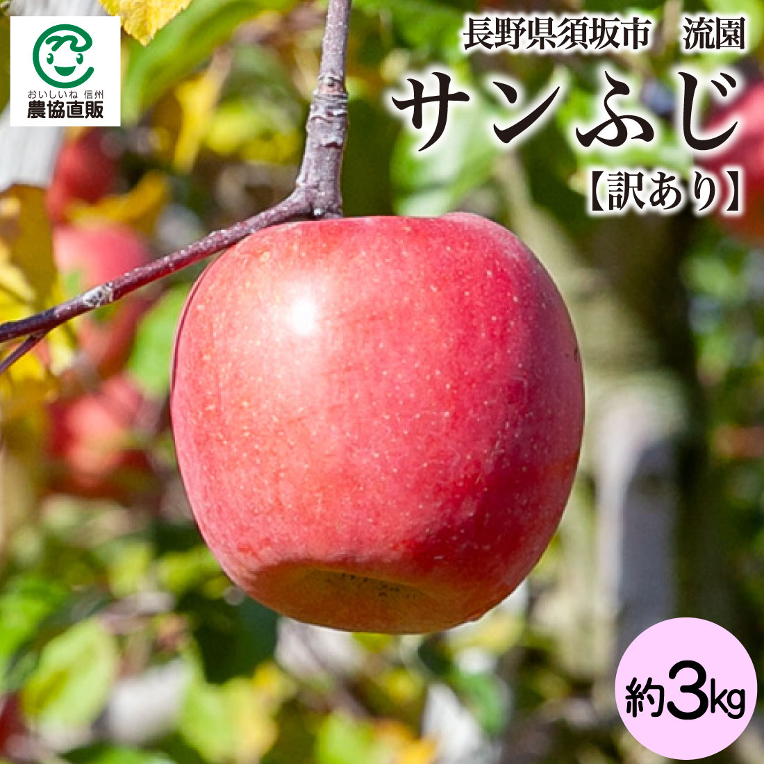 長野県須坂市産 流園の サンふじ 約3kg【訳あり】