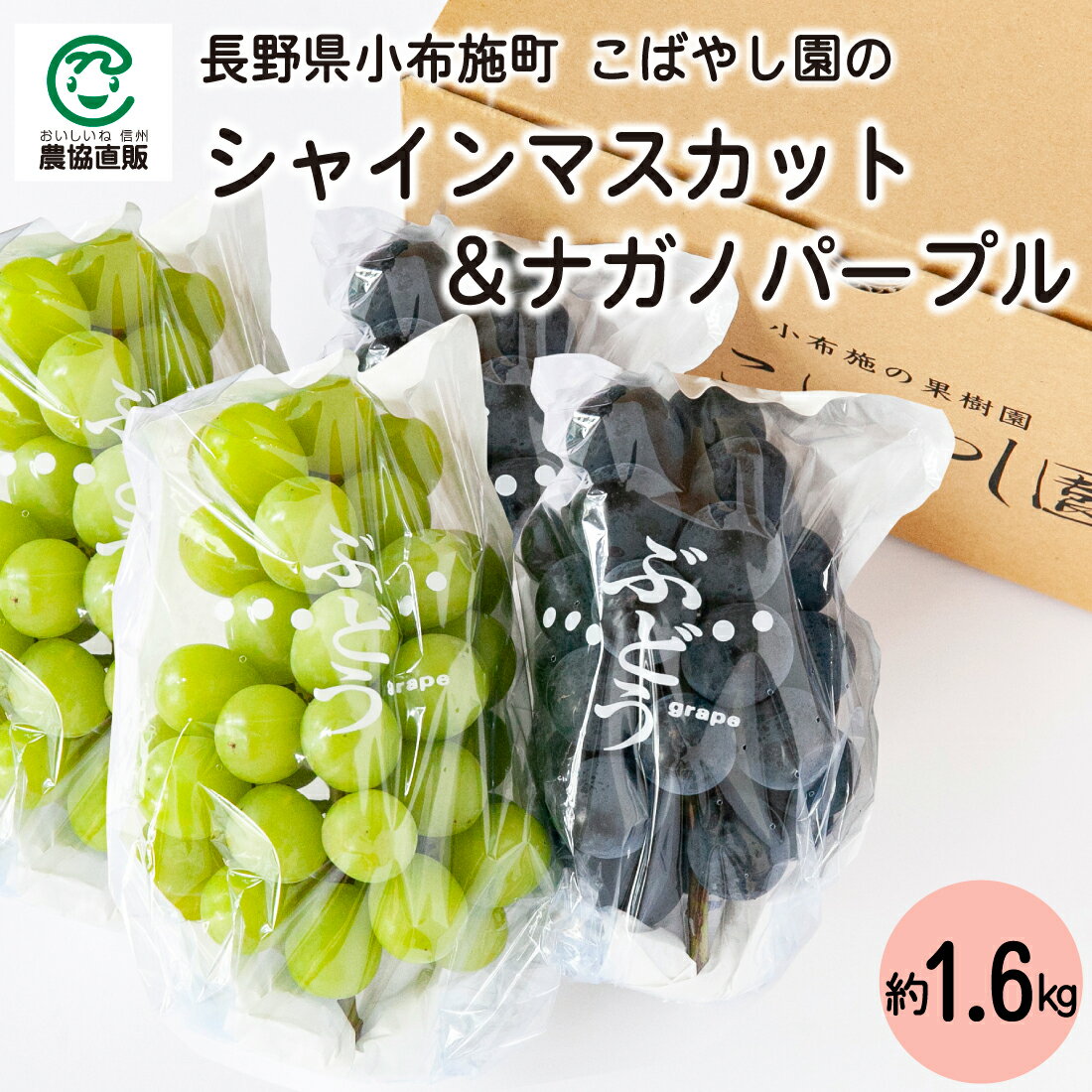長野県小布施町こばやし園 シャインマスカット＆ナガノパープルセット1.6kg_冷蔵便のサムネイル