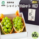 長野県産 シャインマスカット秀品 2房(約900g)