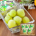 【夏ギフト】南信州産 フローズンシャインマスカットセット