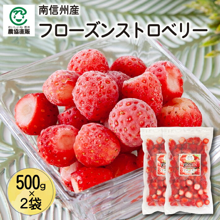 南信州産 フローズンストロベリー 500g×2