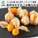 バディアス農園 食用ほおずき「太陽の子」500g