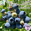 JA上伊那 生ブルーベリー3Lサイズ 100g×8パック