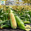 アースかいだ 開田高原 朝採りとうもろこしギフト 約3.5kg