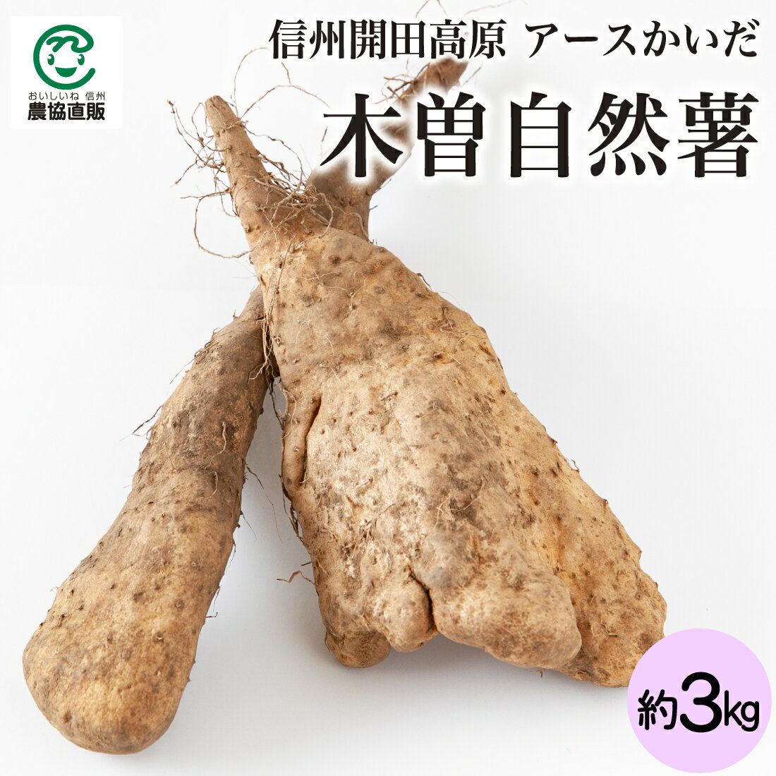 信州 開田高原 木曽自然薯(山芋) 約3kg_アースかいだ