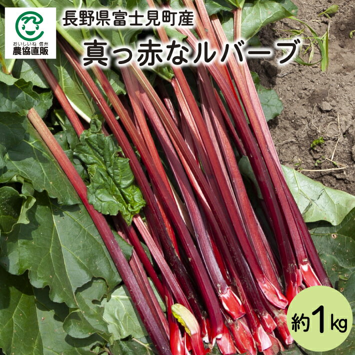 【ふるさと納税】【 2024年 秋出荷 （先行予約）】【 訳あり 】十勝豊頃産 ながいも 10kg【植村農場】