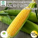 【産地直送】長野県産 とうもろこし『 太陽のくちづけ(プレミアム味来) 』10本【サンキスドファーム】