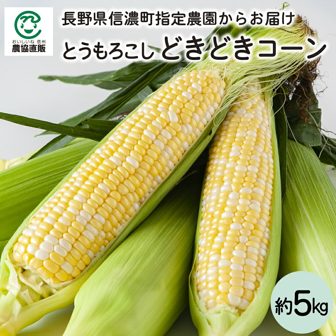 【産地直送】信濃町指定農園とうもろこし どきどきコーン 5kg