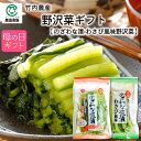 【クーポンで5%OFF】竹内農産 野沢菜ギフト【母の日】