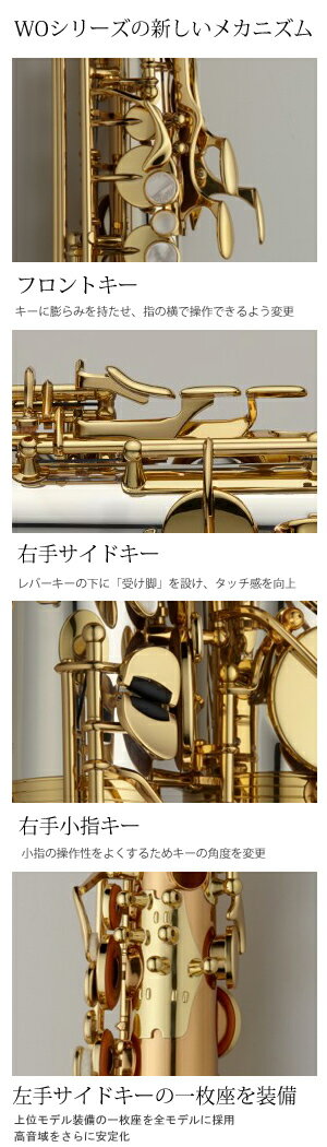 ヤナギサワ アルトサックス A-WO20