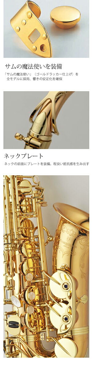 ヤナギサワ アルトサックス A-WO20