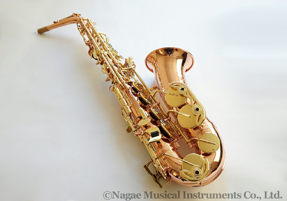 �ӥ�åե��������ݥ� ����ȥ��å��� Senzo�ʥ��󥾡�������