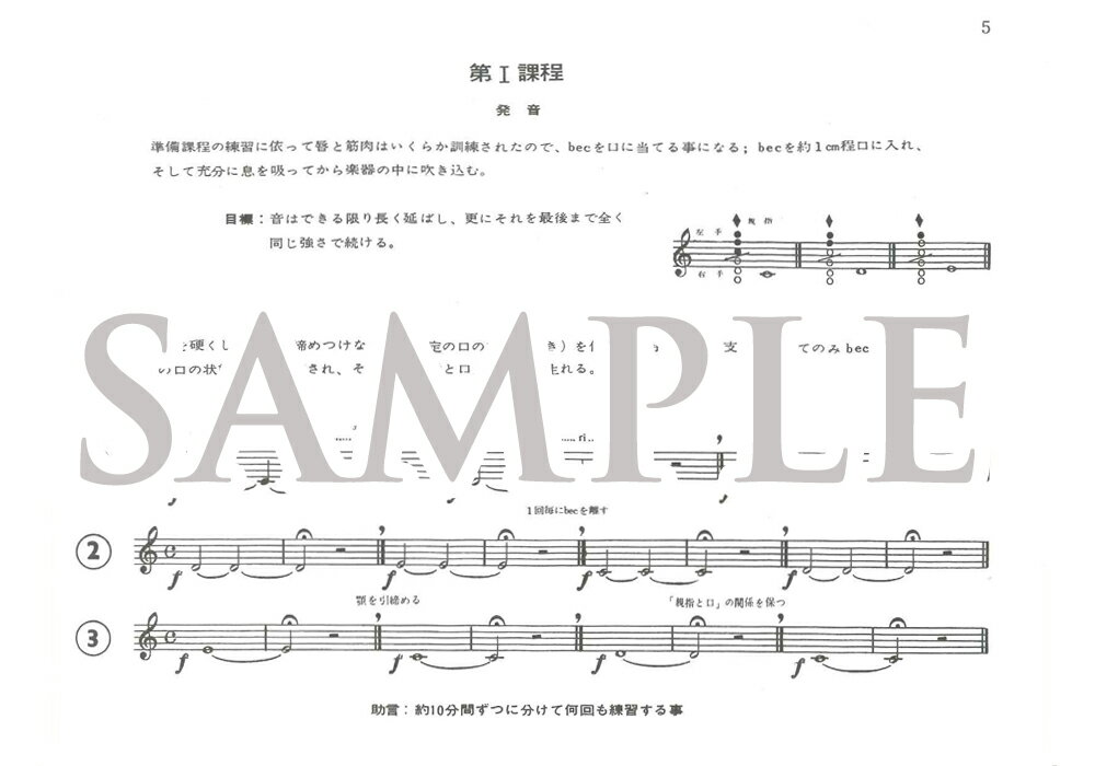 楽天市場 クラリネット教本 グルーサン クラリネット学習のための合理的原則 基礎編 管楽器専門店 永江楽器 50代以上 みんなのレビュー 口コミ