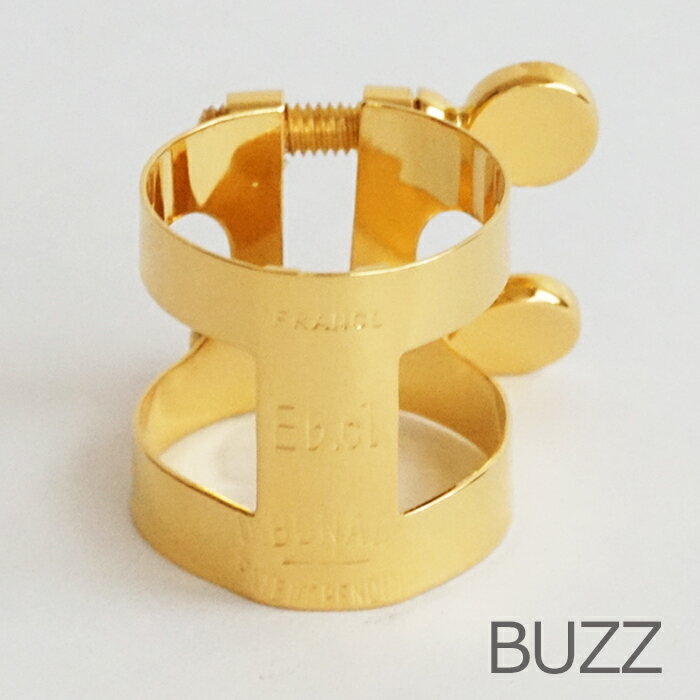 BUZZ Eͥåȥꥬ㡼  GP