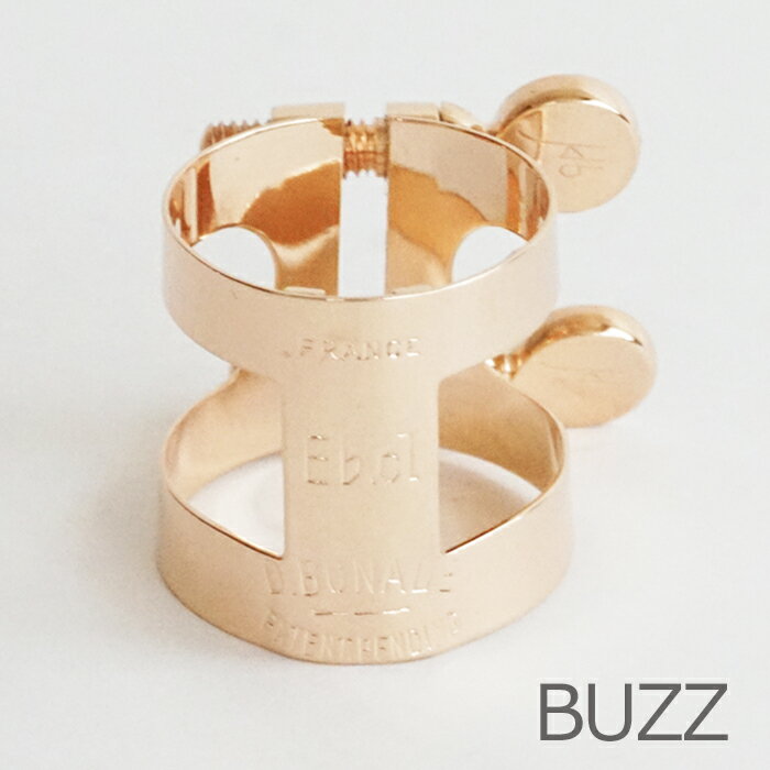 BUZZ Eͥåȥꥬ㡼 ԥ󥯥 PGP R
