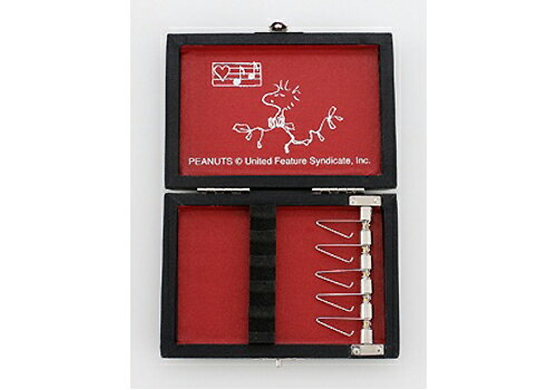 ���̡��ԡ� �꡼�ɥ����� �����ܥ�5���� ��