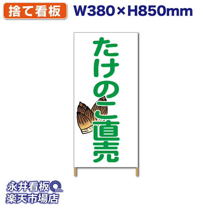 Ωƴ ȴ ϡե Τľ ݥ NDSS_002ڼʡ󥻥Բġ W380xH850mm ե륫顼  ҹ ˡ̾ɬ