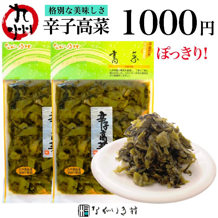 送料無料 1000円 ポッキリ《九州 産》辛子高菜 120g｜ 高菜油炒め からし高菜 辛子 高菜 たかな 高菜漬..