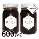 国産 北海道産 天然はちみつ 数量限定 純粋そば蜂蜜600g×2個